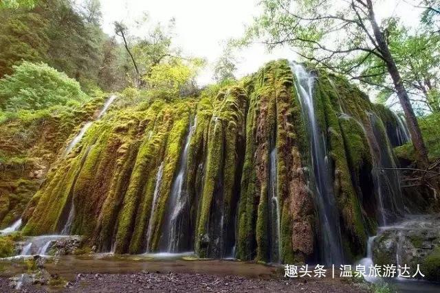 一天蒸发800亿美元！特斯拉市值被礼来超越 空头赚翻了