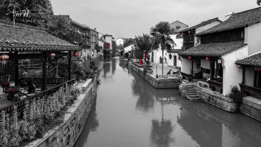 滨子，南方真·土豆来了！宁海“胡陈洋芋”空降哈尔滨街头，吸引天南地北无数游客围观品尝