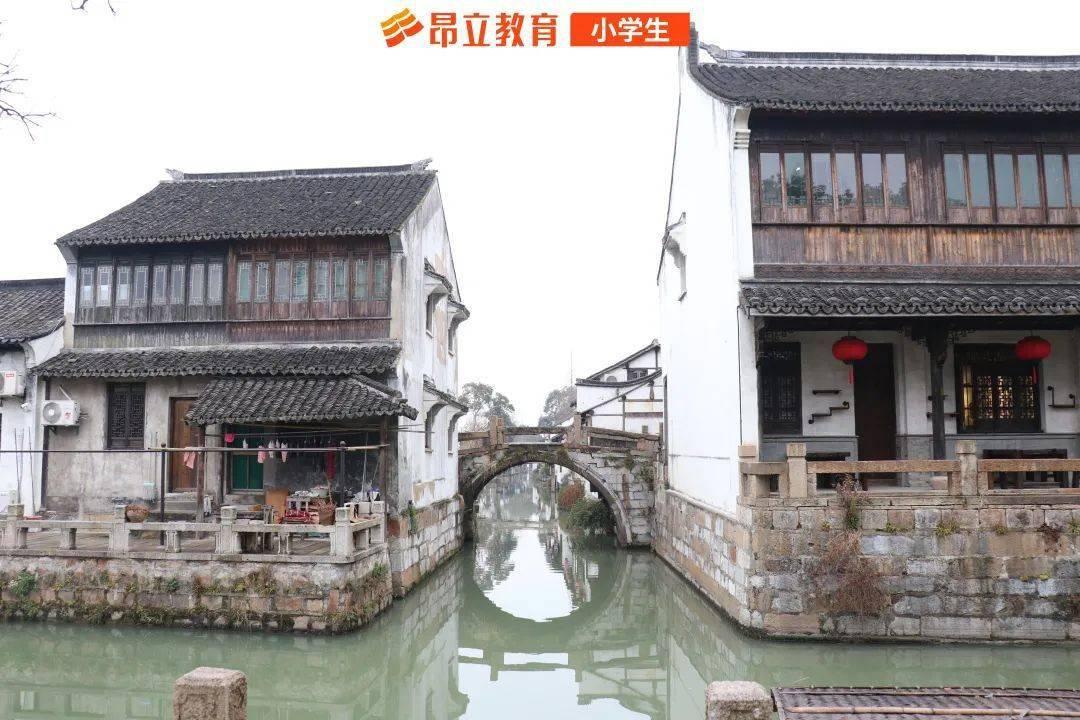 水果时尚风格